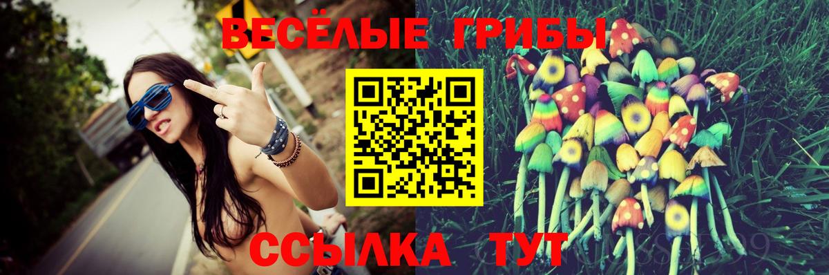 Ликино-Дулёво  Галлюциногенные грибы MAGIC MUSHROOMS  Вход с VPN 